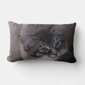Cute Kitten Pillow