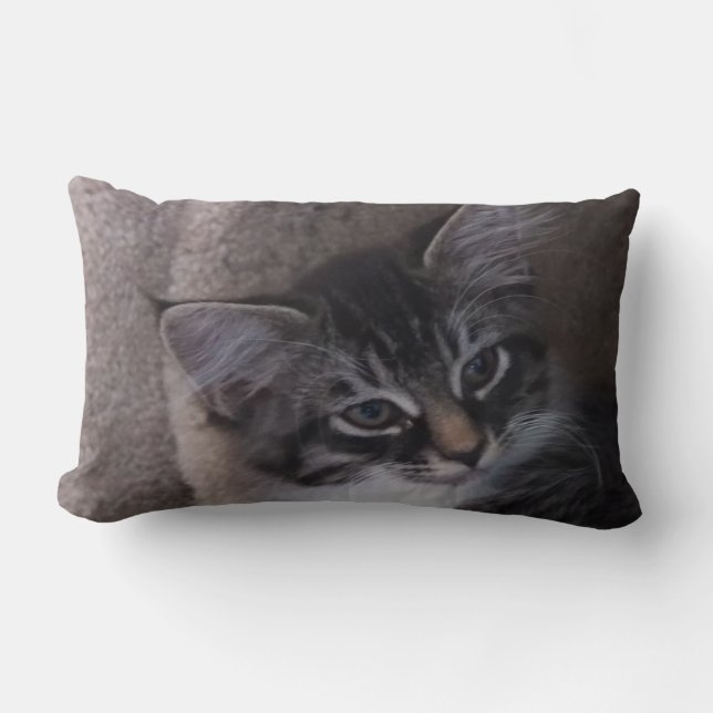 Cute Kitten Pillow (Front)
