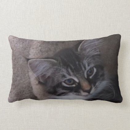 Cute Kitten Pillow