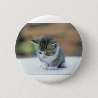 Cute Kitten Pinback Button