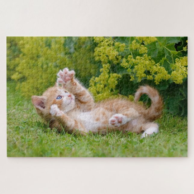 Cute kitten playing in a flowery garden _ jigsaw puzzle (Horizontal)