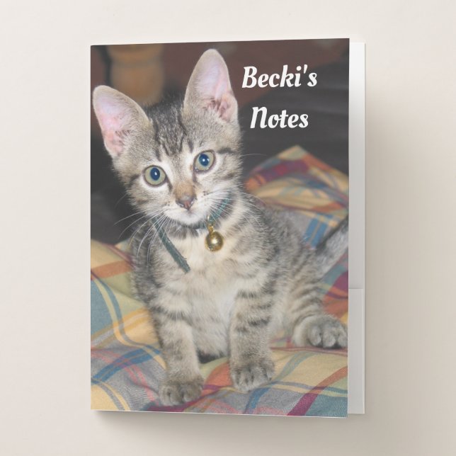 Cute Kitten Pocket Folder (Front)