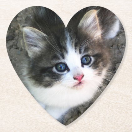 CUTE Kitten Portrait Paper Coaster
