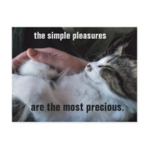 Cute Kitten Quote Simple Pleasures Customizable