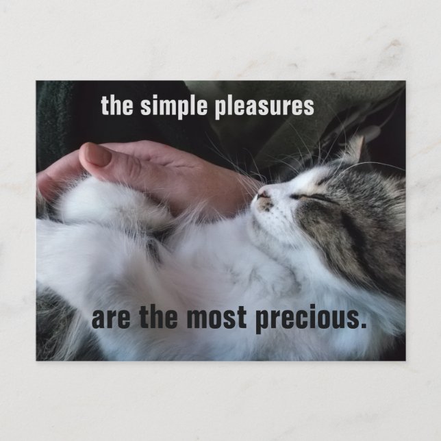 Cute Kitten Quote Simple Pleasures Customizable Postcard (Front)