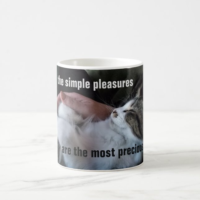 Cute Kitten Quote Simple Pleasures Most Precious Coffee Mug (Center)