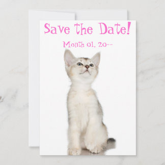 Cute Kitten Save the Date Announcements