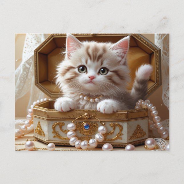 Cute Kitten Sitting in a Jewelry Box  Postcard (Front)