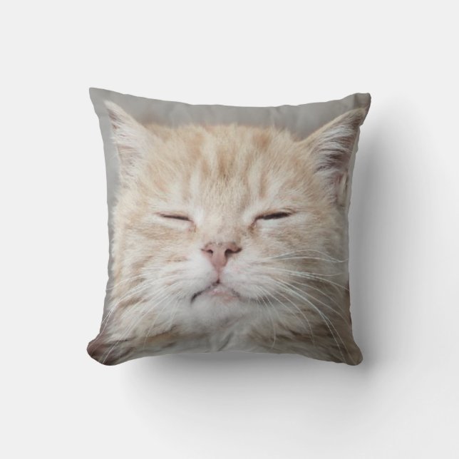 Cute Kitten Sleeping Face Cat Lover Throw Pillow (Front)