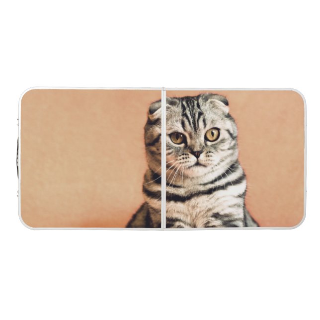 Cute Kitten Sprawled Out Beer Pong Table (Top)