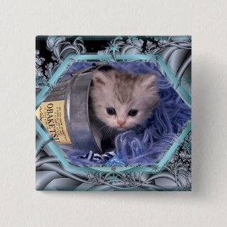 Cute kitten square button