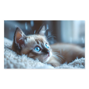 Cute Kitten Sticker