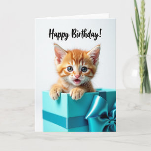 Cute Kitten Surprise Birthday Card