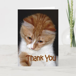 Cute Kitten - Thank You Card