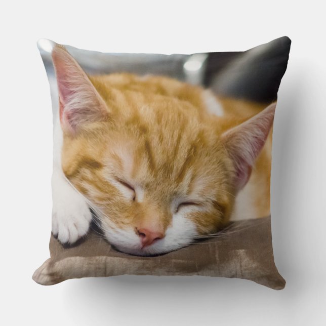 Cute Kitten Throw Pillow (Front)