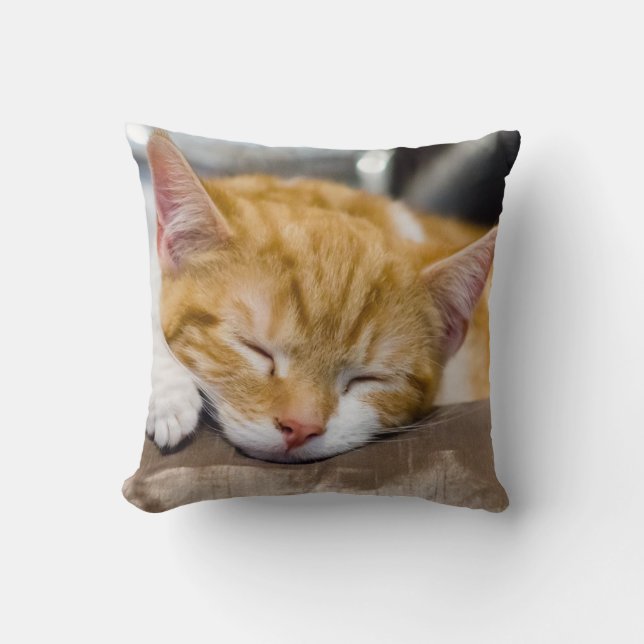 Cute Kitten Throw Pillow (Front)