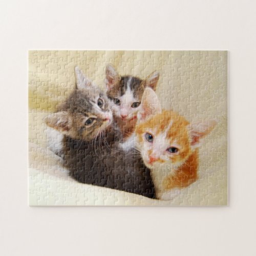 Cute Kitten Trio Jigsaw Puzzle