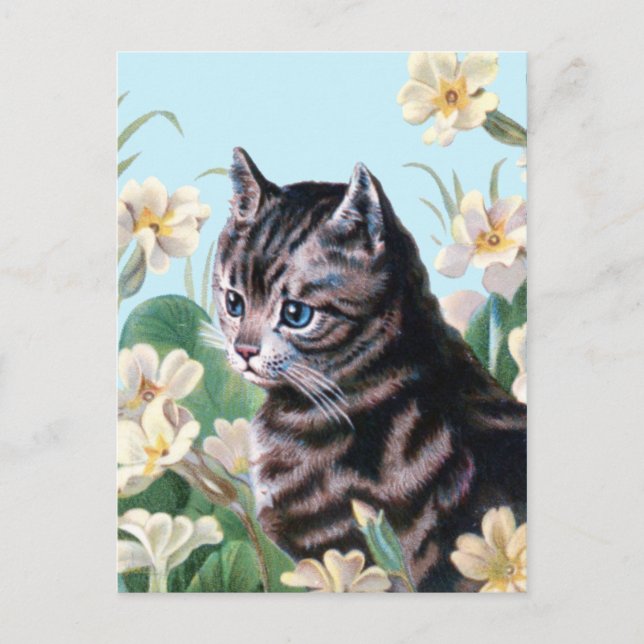 Cute kitten - vintage cat art postcard (Front)