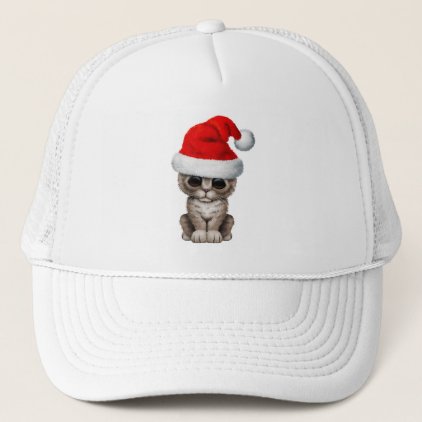 Cute Kitten Wearing a Santa Hat