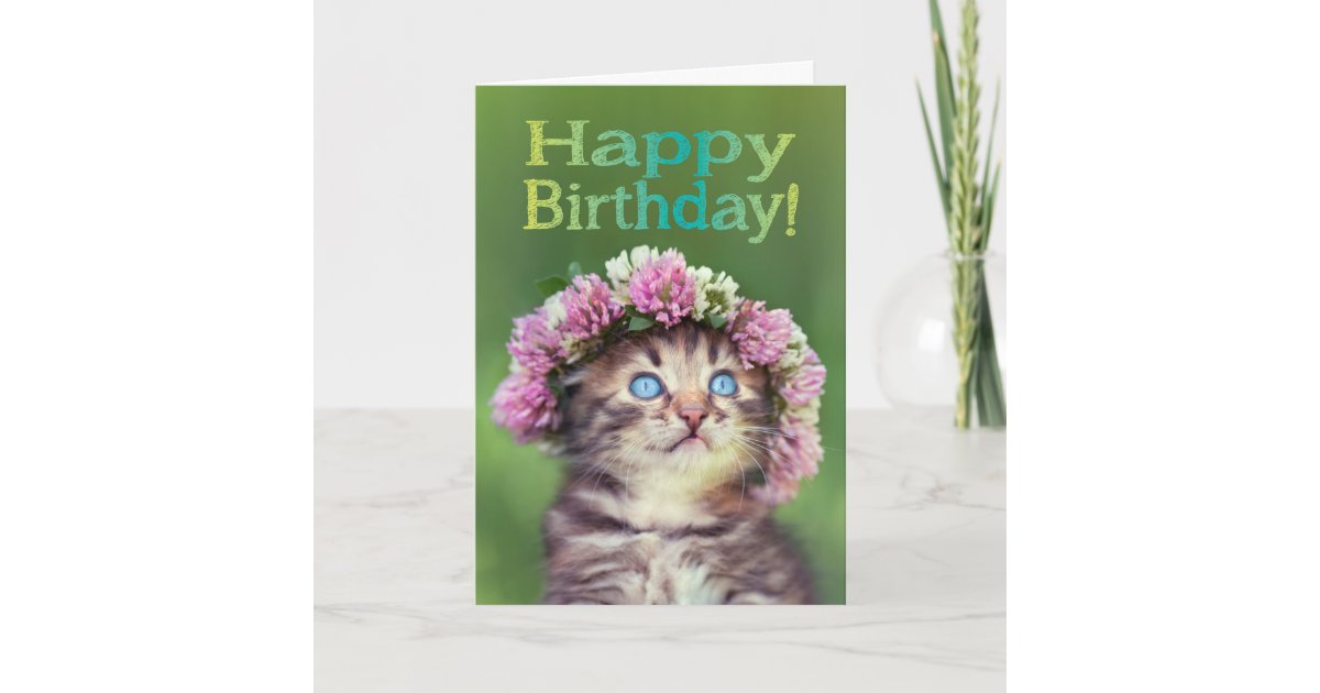 happy birthday cute kitten images