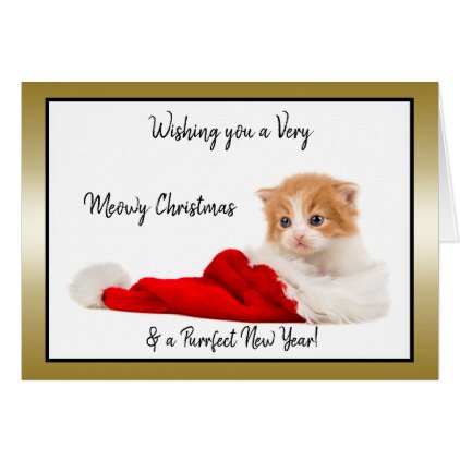 Cute Kitten Wishing You a Meowy Christmas Card