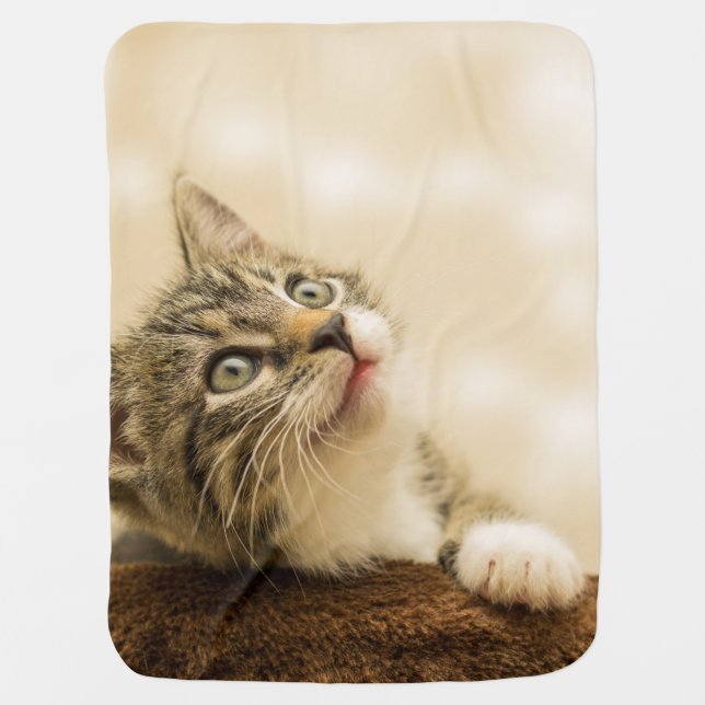 Cute Kitten with an Outstretched Paw Baby Blanket (Front)