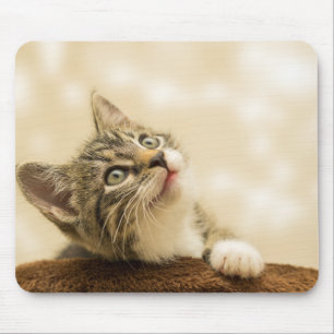 Cute Kitten with an Outstretched Paw Mouse Pad