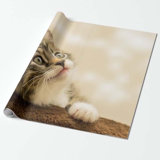 Cute Kitten with an Outstretched Paw Wrapping Paper (Unrolled)