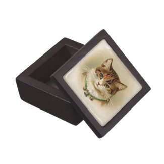 Cute kitten with bells on necklace - for cat lover premium gift boxes