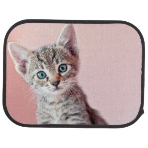 Cute kitten with blue eyes. car floor mat