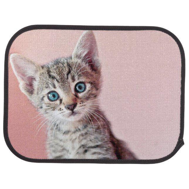 Cute kitten with blue eyes. car floor mat (Rear)
