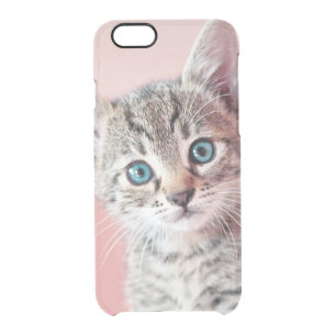 Cute kitten with blue eyes. clear iPhone 6/6S case