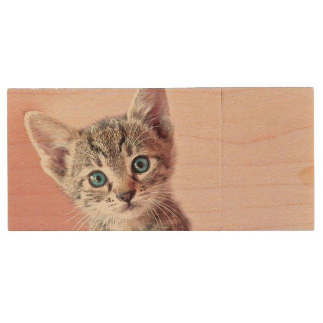 Cute kitten with blue eyes. wood USB flash drive (Front)
