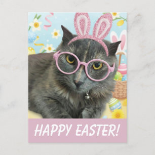 Cute Kitten with Bunny Ears photo Postcard