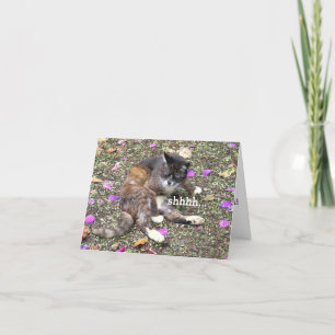 CUTE KITTEN WITH EYES SHUT/ "SHHHHH..." CARD