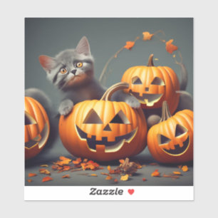 Cute Kitten with Pumpkin Sticker