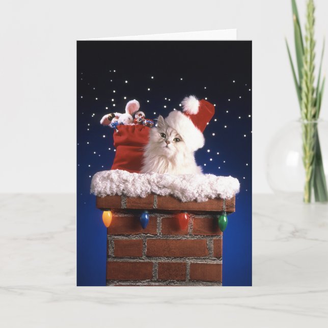 Cute kitten with Santa hat Holiday Card (Front)