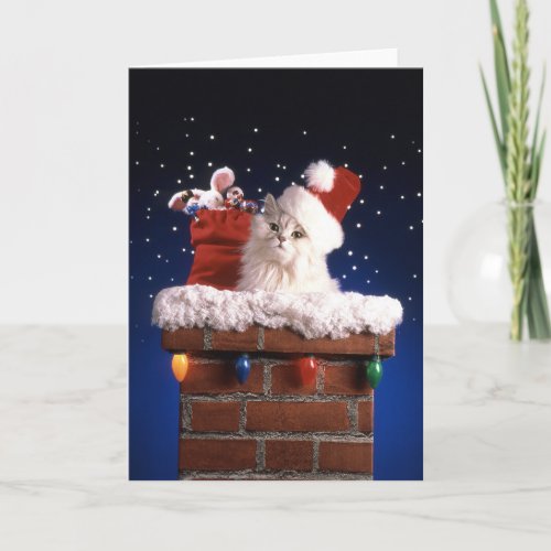 Cute kitten with Santa hat Holiday Card