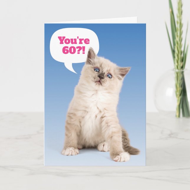 Cute Kitten You're 60?! Birthday Customizable Age Card (Front)