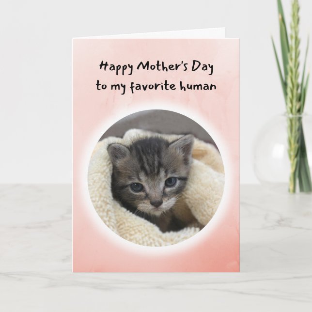 Cute Kitten You're My Favorite Human Mother's Day  Card (Front)