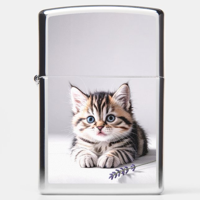 Cute Kitten Zippo Lighter (Front)