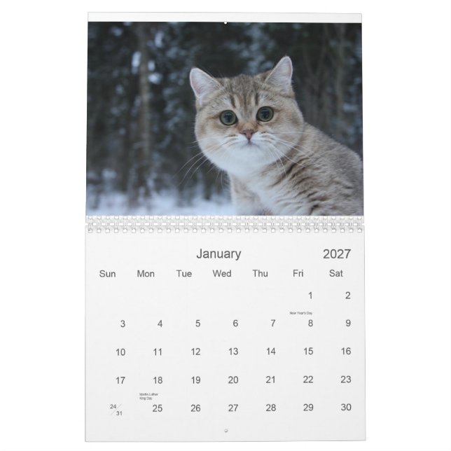 Cute Kittens 2012 Calendar (Jan 2027)