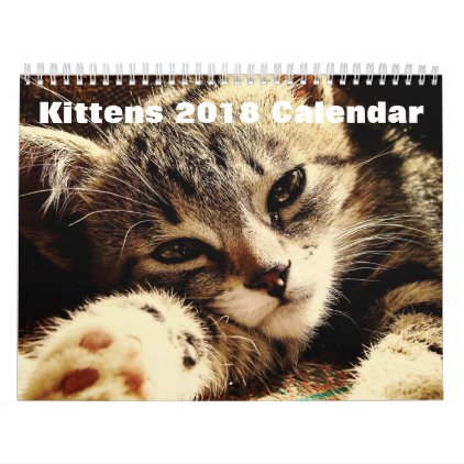 Cute Kittens 2018 Calendar