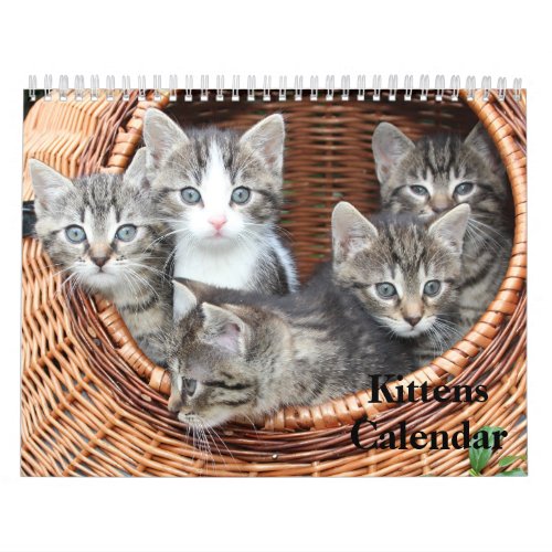 Cute Kittens 2024 Bengal Tiger Calendar