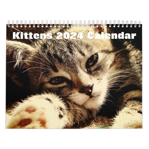 Cute Kittens 2024 Calendar