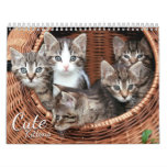 Cute Kittens 2024 Cat Pet Photo Calendar at Zazzle