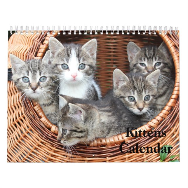 Cute Kittens 2026 Bengal Tiger Calendar (Cover)