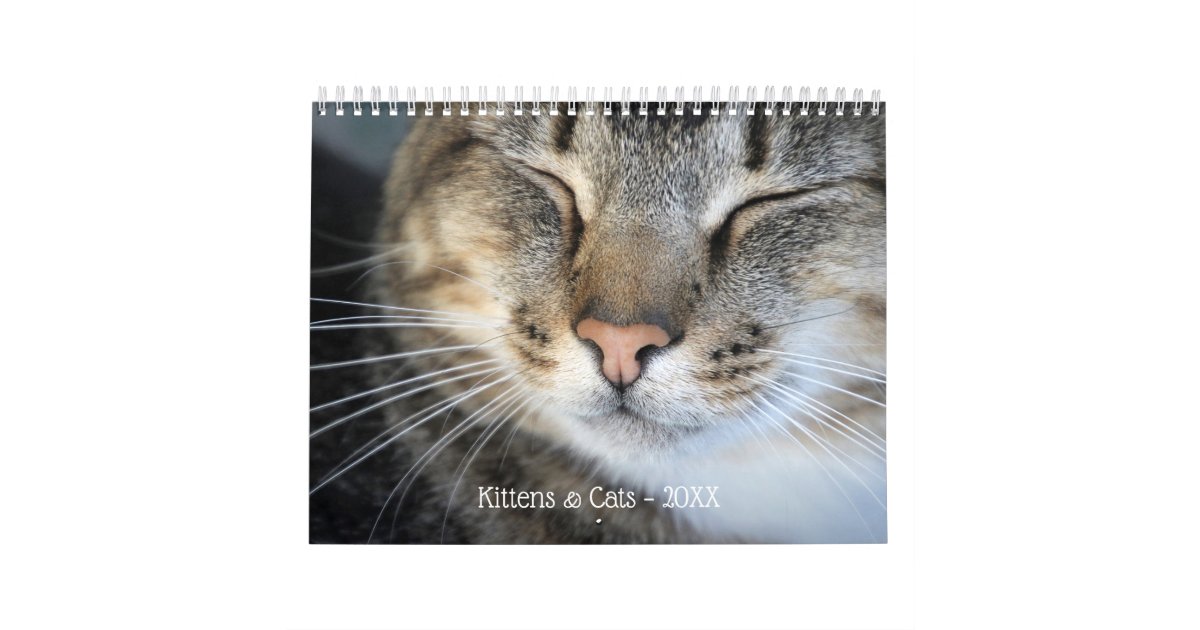 Cute Kittens and Cats 2020 Pet Photo Calendar | Zazzle.com
