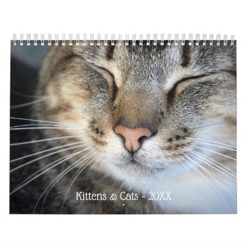 Cute Kittens and Cats 2025 Pet Photo Calendar