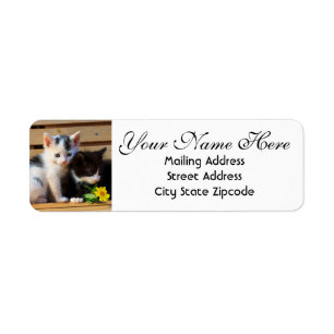 Cute Kittens and Flowers Return Address Label